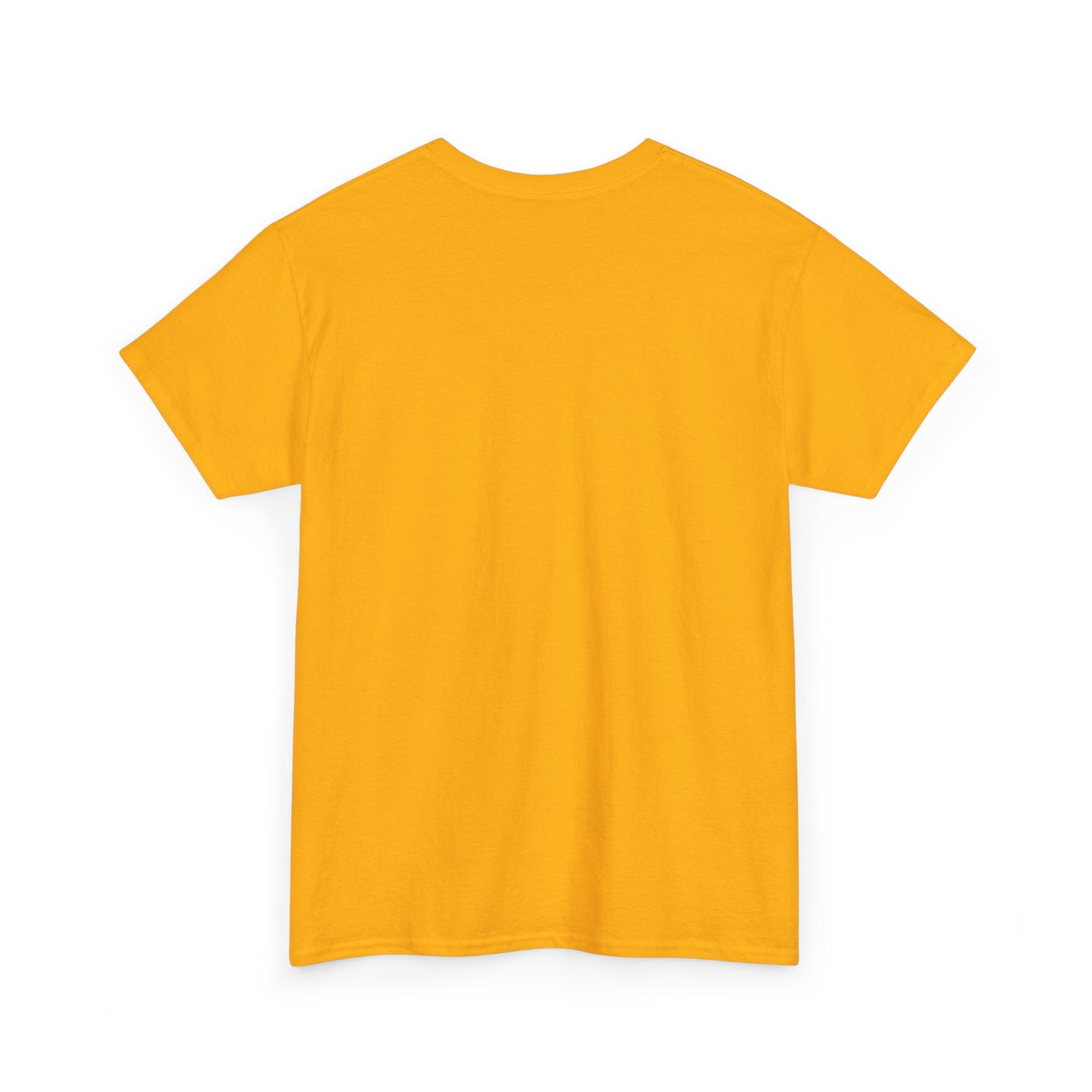 Chillin On The Moon - Unisex Heavy Cotton Tee