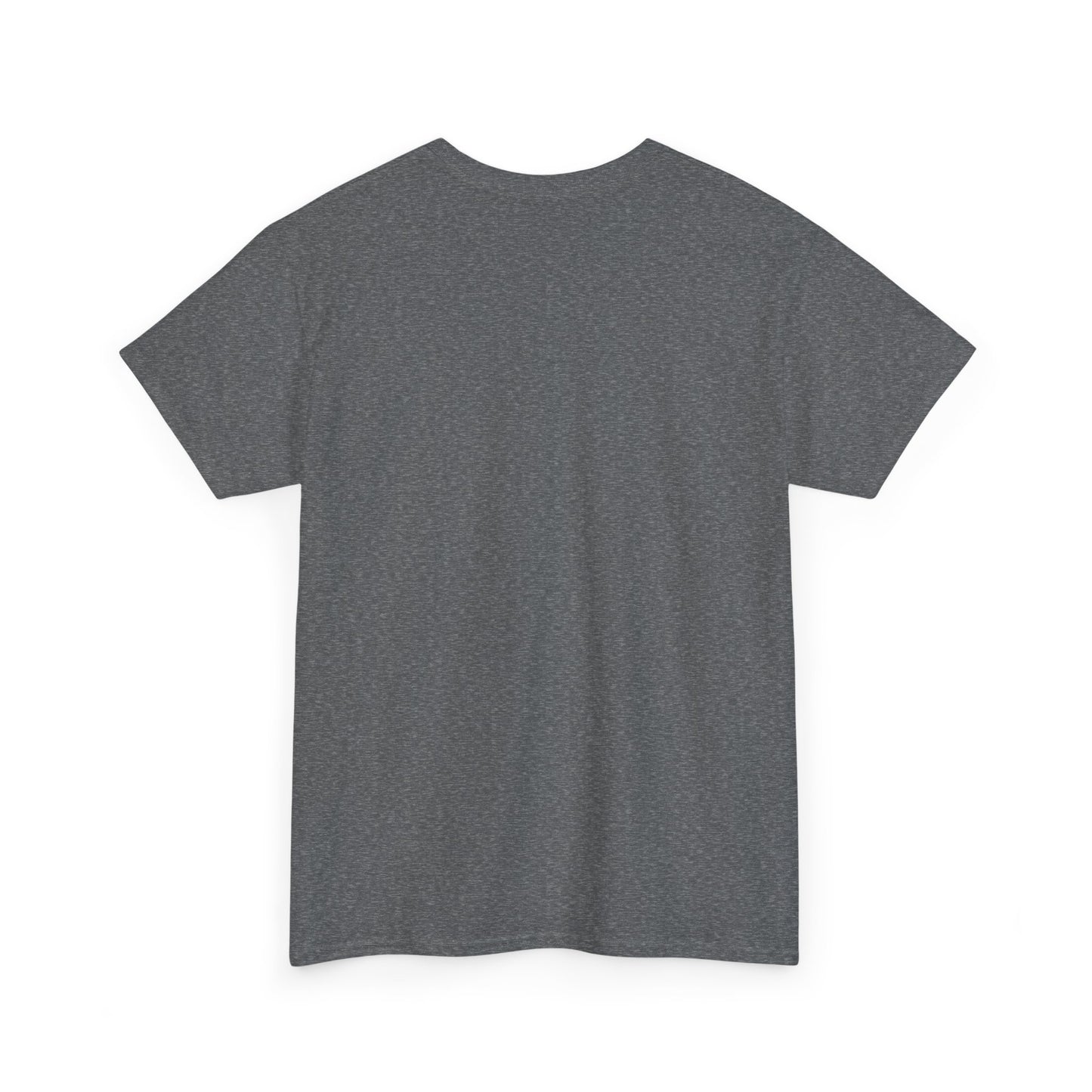 Chillin On The Moon - Unisex Heavy Cotton Tee