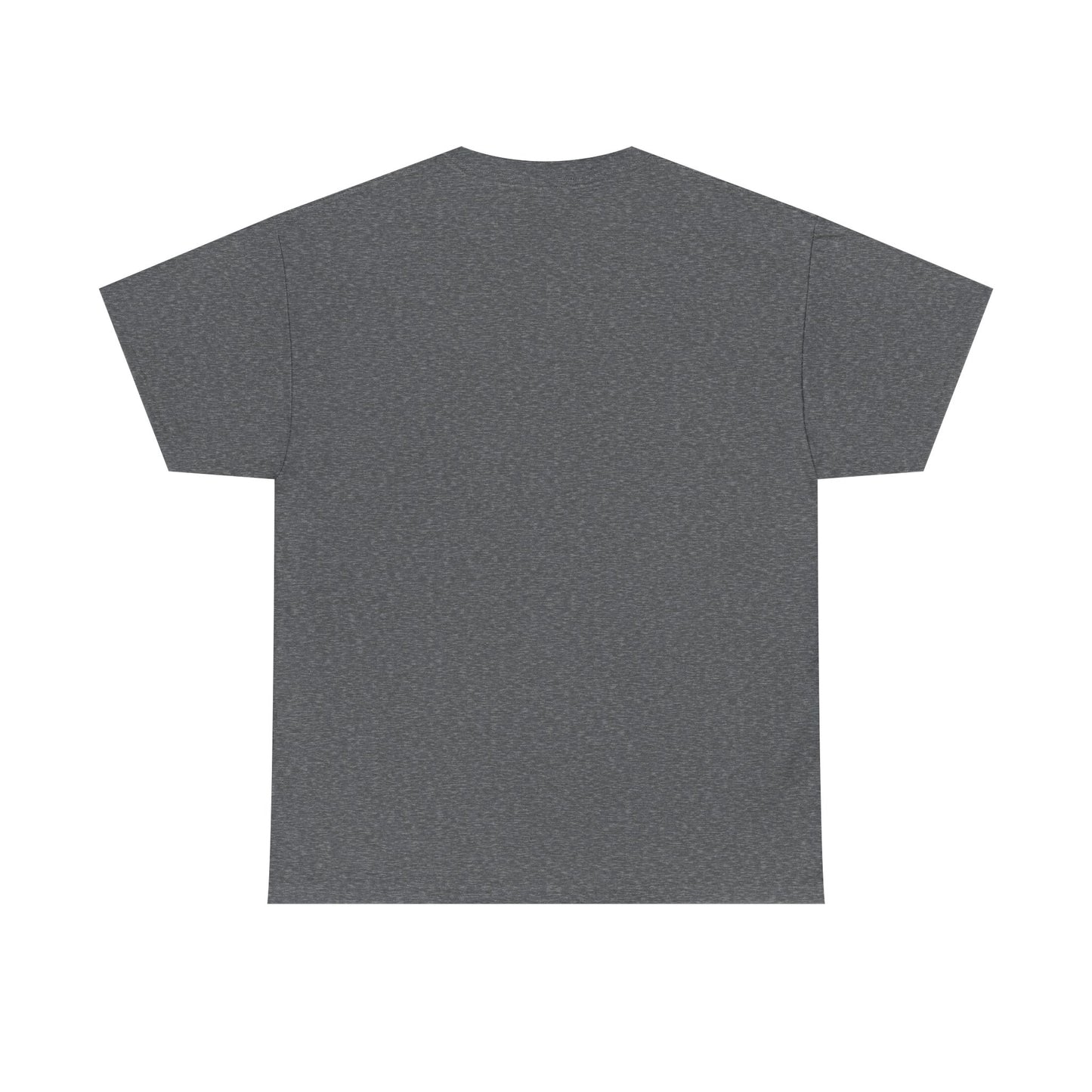 Chillin On The Moon - Unisex Heavy Cotton Tee